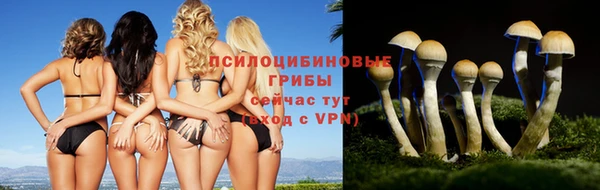 ешки Гусь-Хрустальный