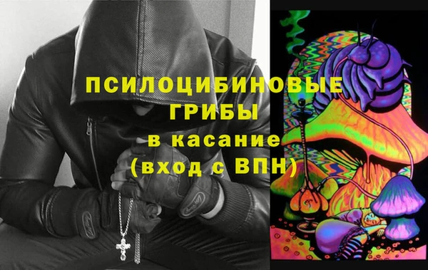 ешки Гусь-Хрустальный