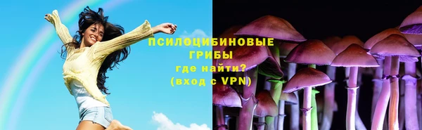мдпв Гусиноозёрск