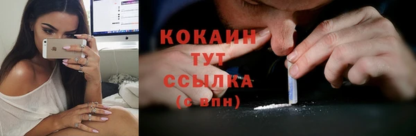 Альфа ПВП Гусев