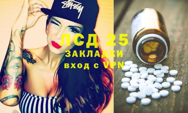Альфа ПВП Гусев