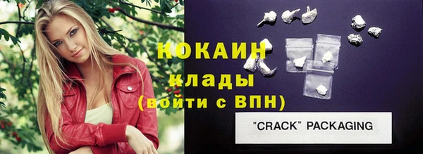 Альфа ПВП Гусев
