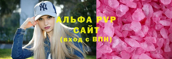 Альфа ПВП Гусев