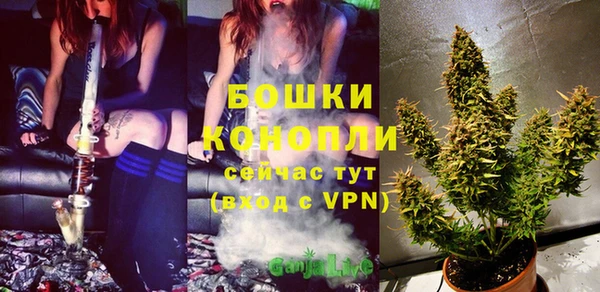 ешки Гусь-Хрустальный